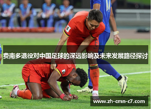 费南多退役对中国足球的深远影响及未来发展路径探讨