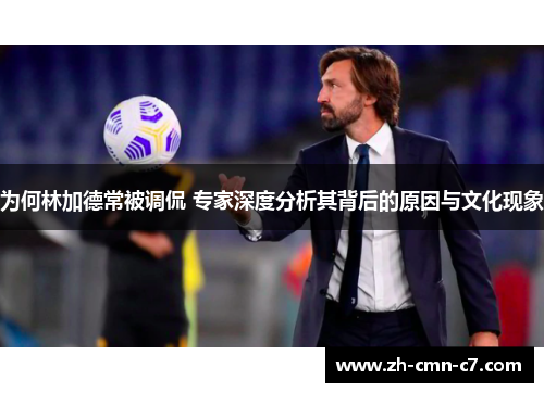 为何林加德常被调侃 专家深度分析其背后的原因与文化现象 为何林加德常被调侃 专家深度分析其背后的原因与文化现象