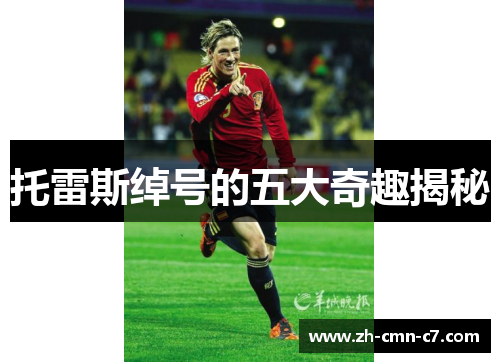 托雷斯绰号的五大奇趣揭秘