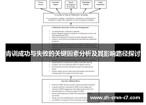青训成功与失败的关键因素分析及其影响路径探讨