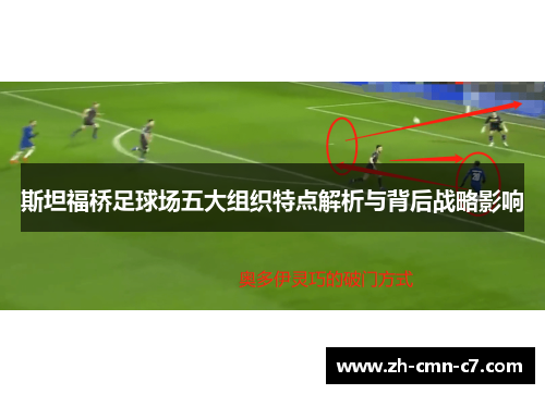 斯坦福桥足球场五大组织特点解析与背后战略影响 斯坦福桥足球场五大组织特点解析与背后战略影响