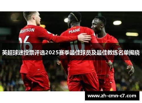 英超球迷投票评选2025赛季最佳球员及最佳教练名单揭晓